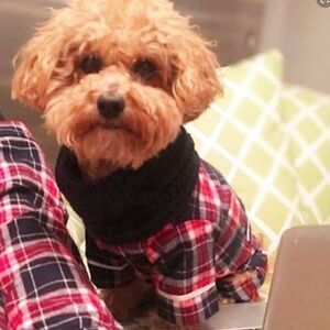 🎈Plaid Flannel Dog Pajamas